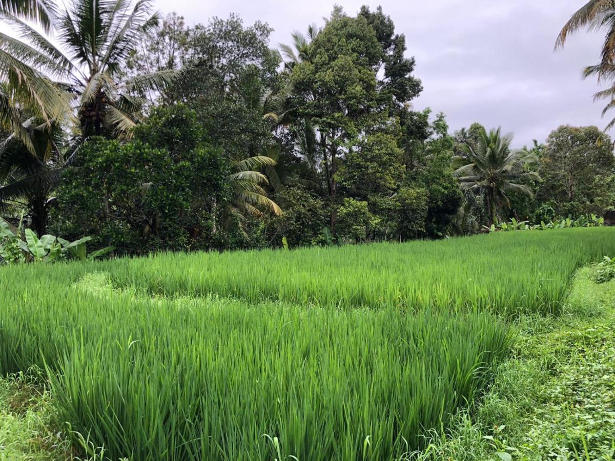 Titian Dewi Villa Ubud - 3 Bedroom Private Villa Close To Cretya Day Club 뜨갈랄랑 외부 사진